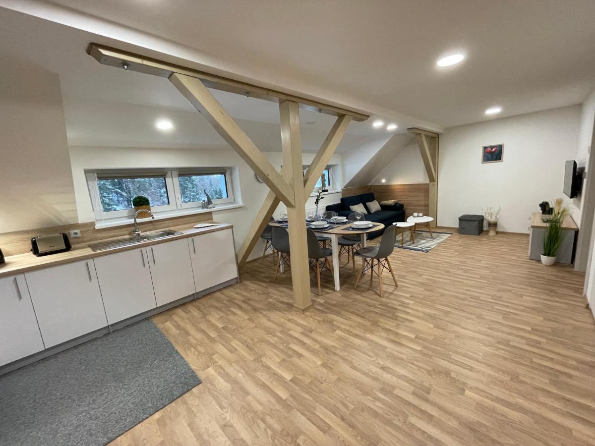 Apartmány Herc Jáchymov Exterior foto